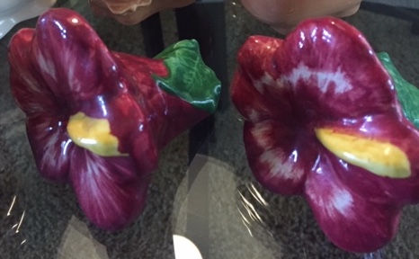 Hibiscus flowers by Pacific salt and pepper shakers