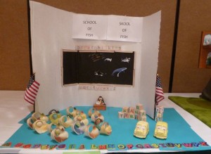 Small Display 3rd Place